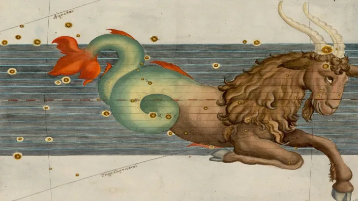 Capricorn