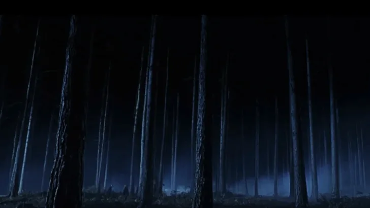 Forbidden Forest