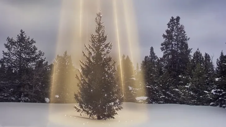 Christmas tree