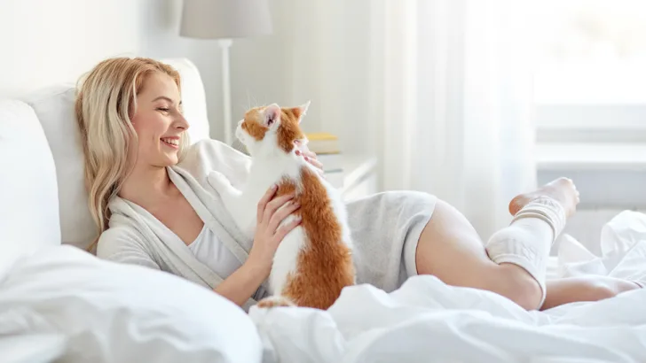 Cuddle a kitten
