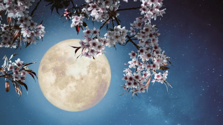 Full moon
