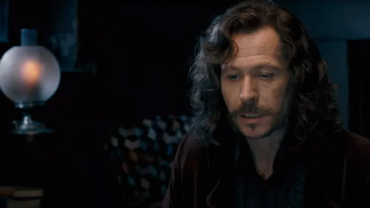 Sirius Black (order of the phoenix)