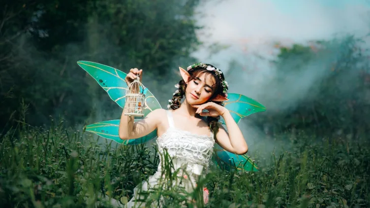 Fairy