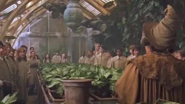 Herbology