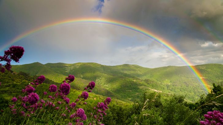 Rainbow