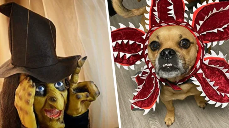 Halloween Ideas That Will Leave Your Guests Screaming