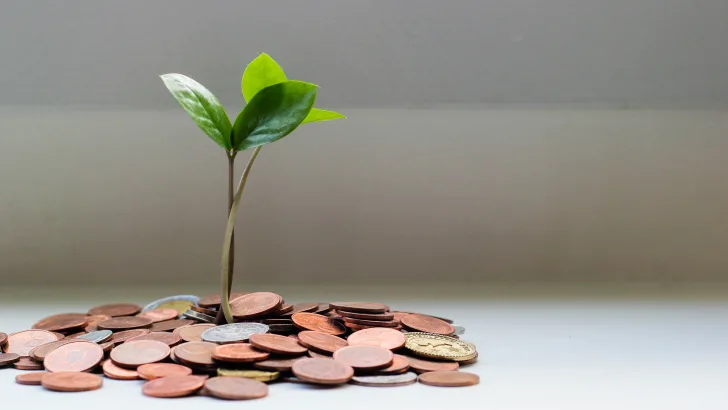 Money Made Simple: What You Need to Know