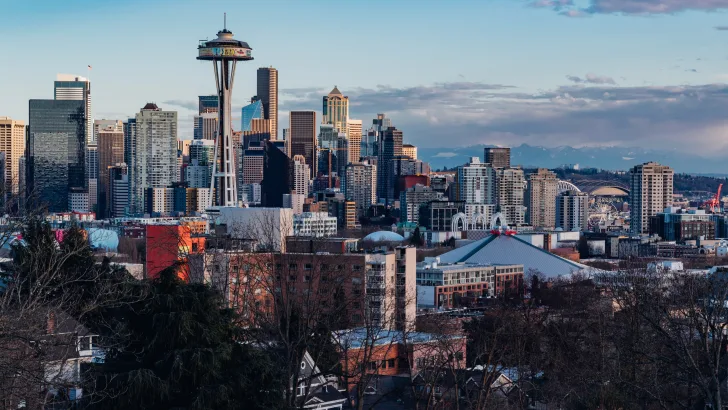 25 Year Old Seattle Professional Laid Off During Covid-19